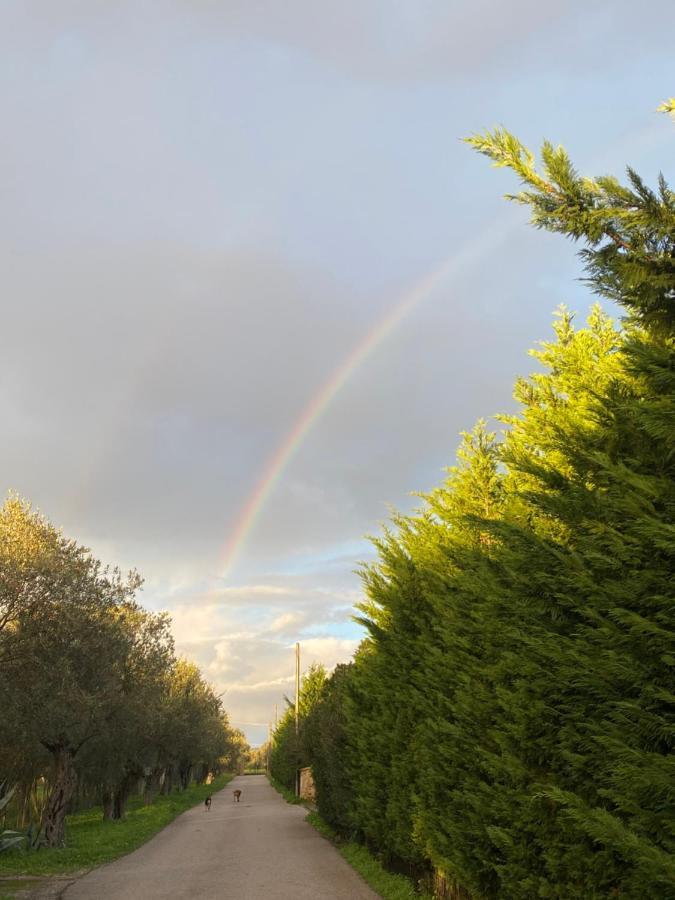 Villa Culla Di Jana Αλγκέρο Εξωτερικό φωτογραφία