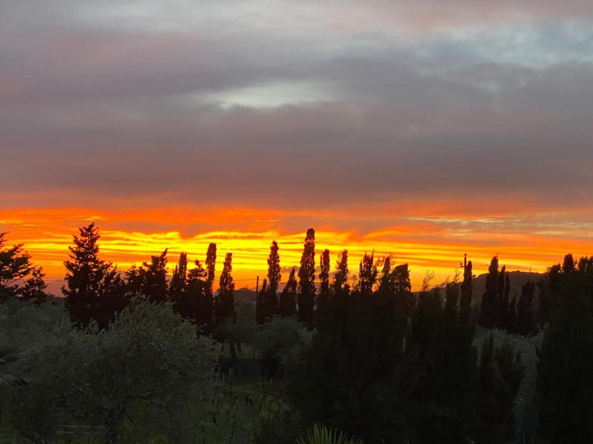 Villa Culla Di Jana Αλγκέρο Εξωτερικό φωτογραφία